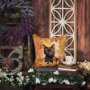 York Chocolate Cat in Fall Leaves Throw Pillow Machine Washable, Indoor Outdoor Decorative Pillow for Couch, Bed or Patio, 14Hx14W